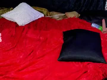 Cam for demmi_foxy