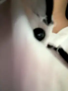 Stripchat Sex Cam for Xixi-Gala