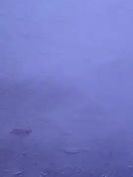 Stripchat Sex Cam for tamilaruvi