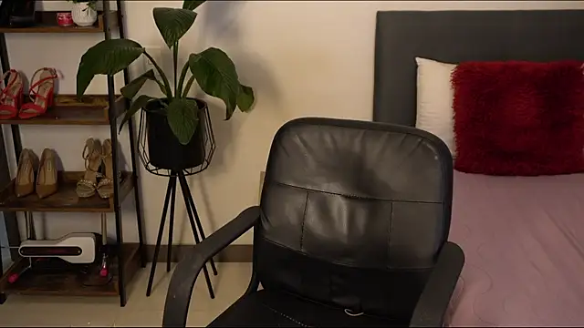Stripchat Sex Cam for alexajhonsonsof